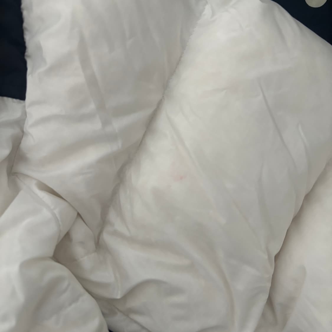 노스페이스 에코 눕시 자켓 패딩 화이트 상품이미지5