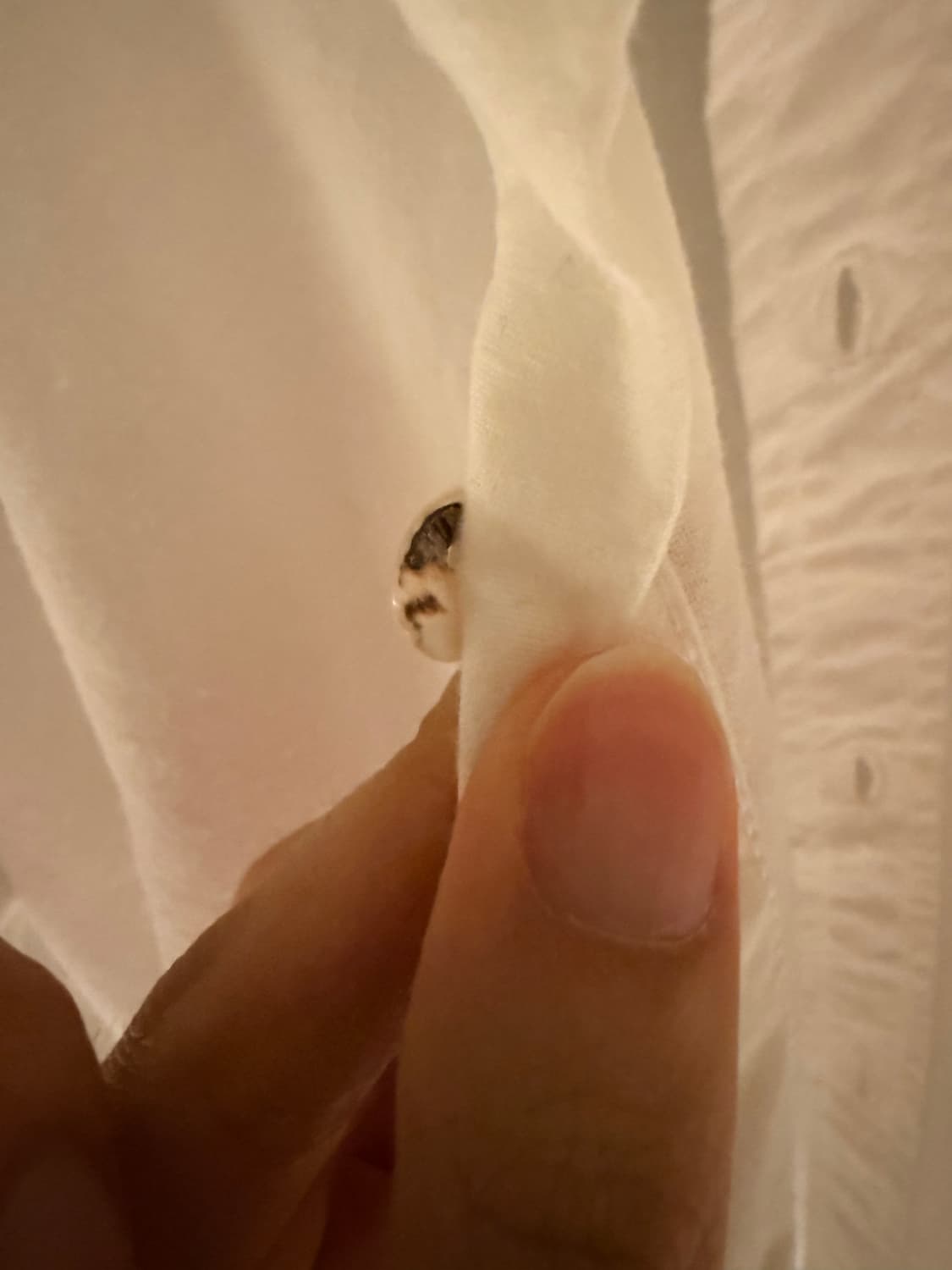 Elena dawson 상품이미지4