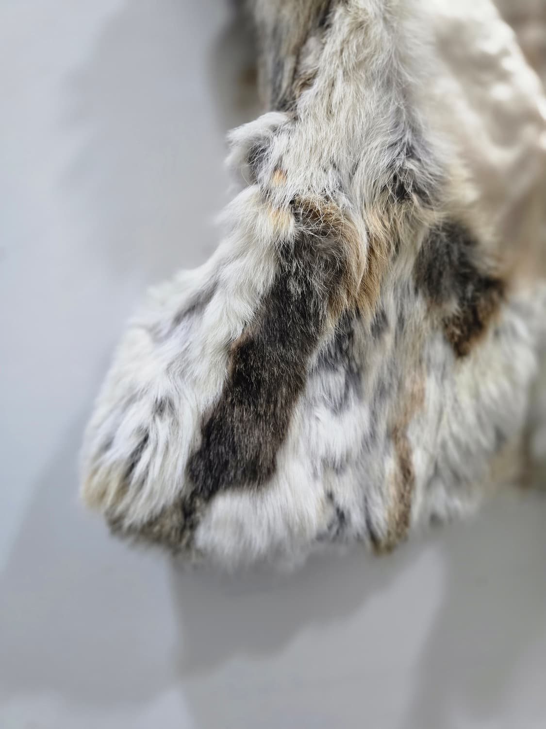 브라운톤 레빗 미니조끼 상품이미지3