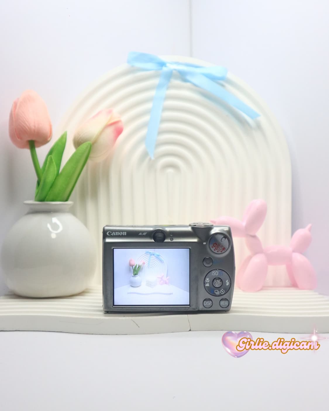 *연예인,유튜브 디카* 캐논 익서스850is /익시900is 상품이미지5