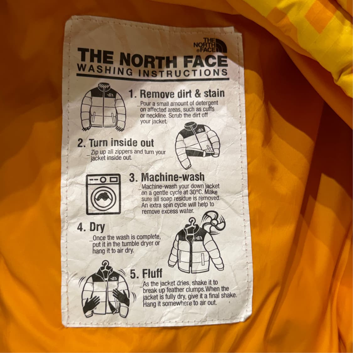 [L] 노스페이스 눕시 노벨티 패딩 상품이미지9