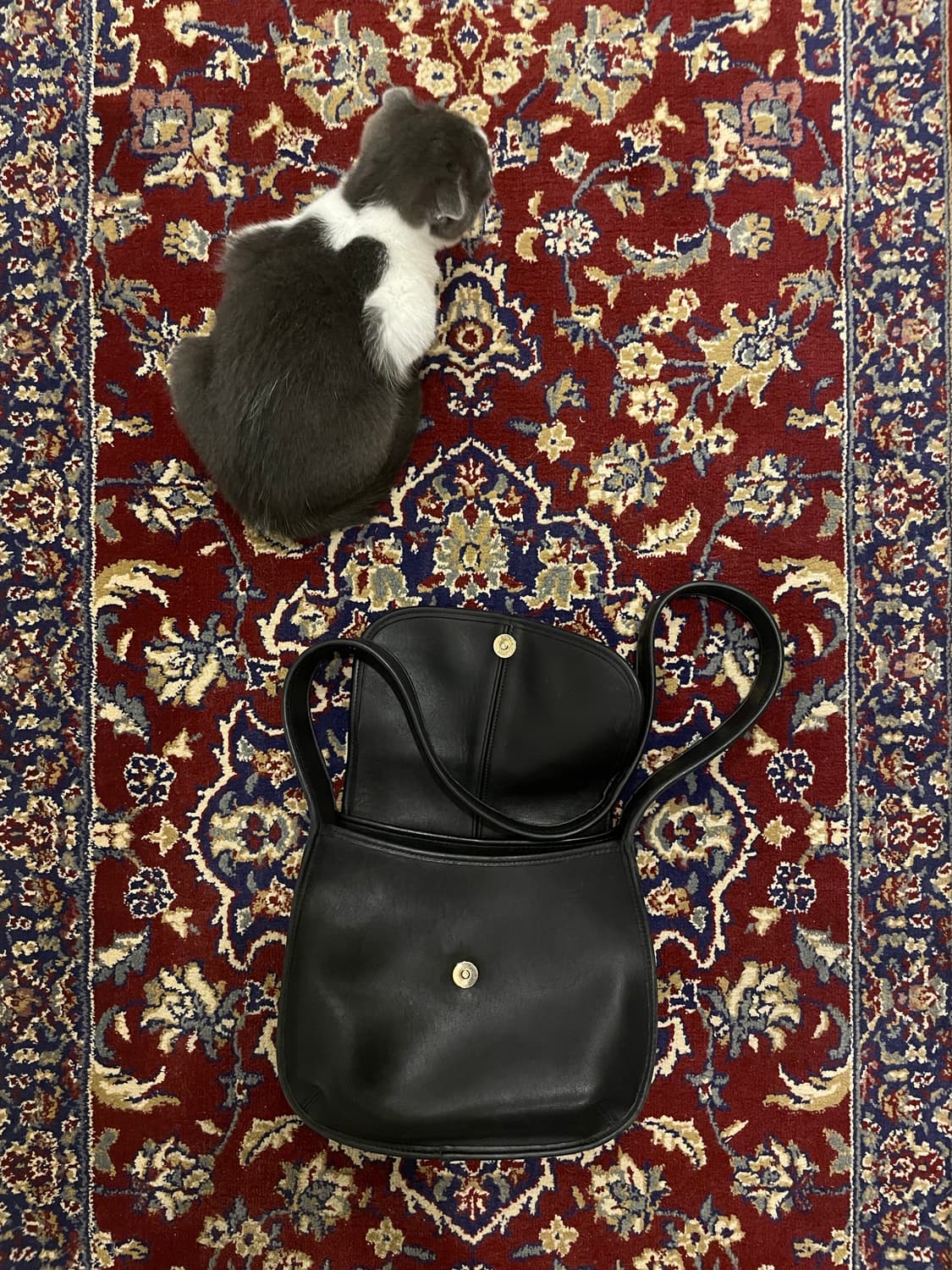 Coach Ergo Flap 9034 상품이미지3