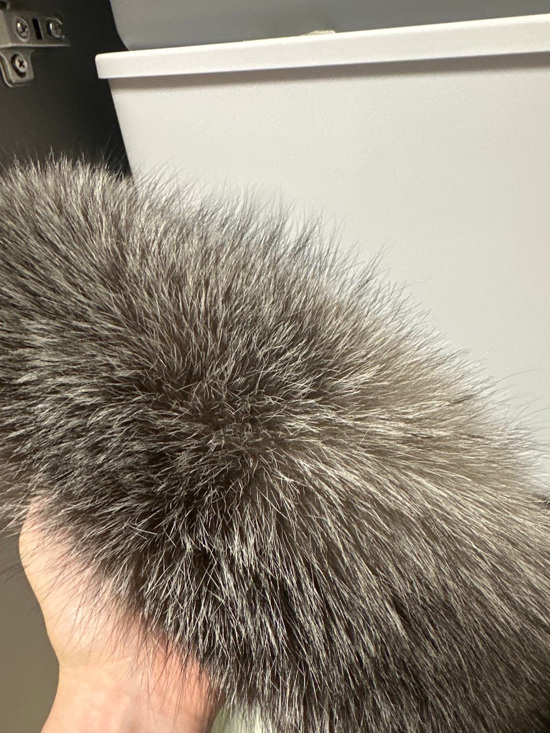 질스튜어트 폭스퍼  상품이미지4