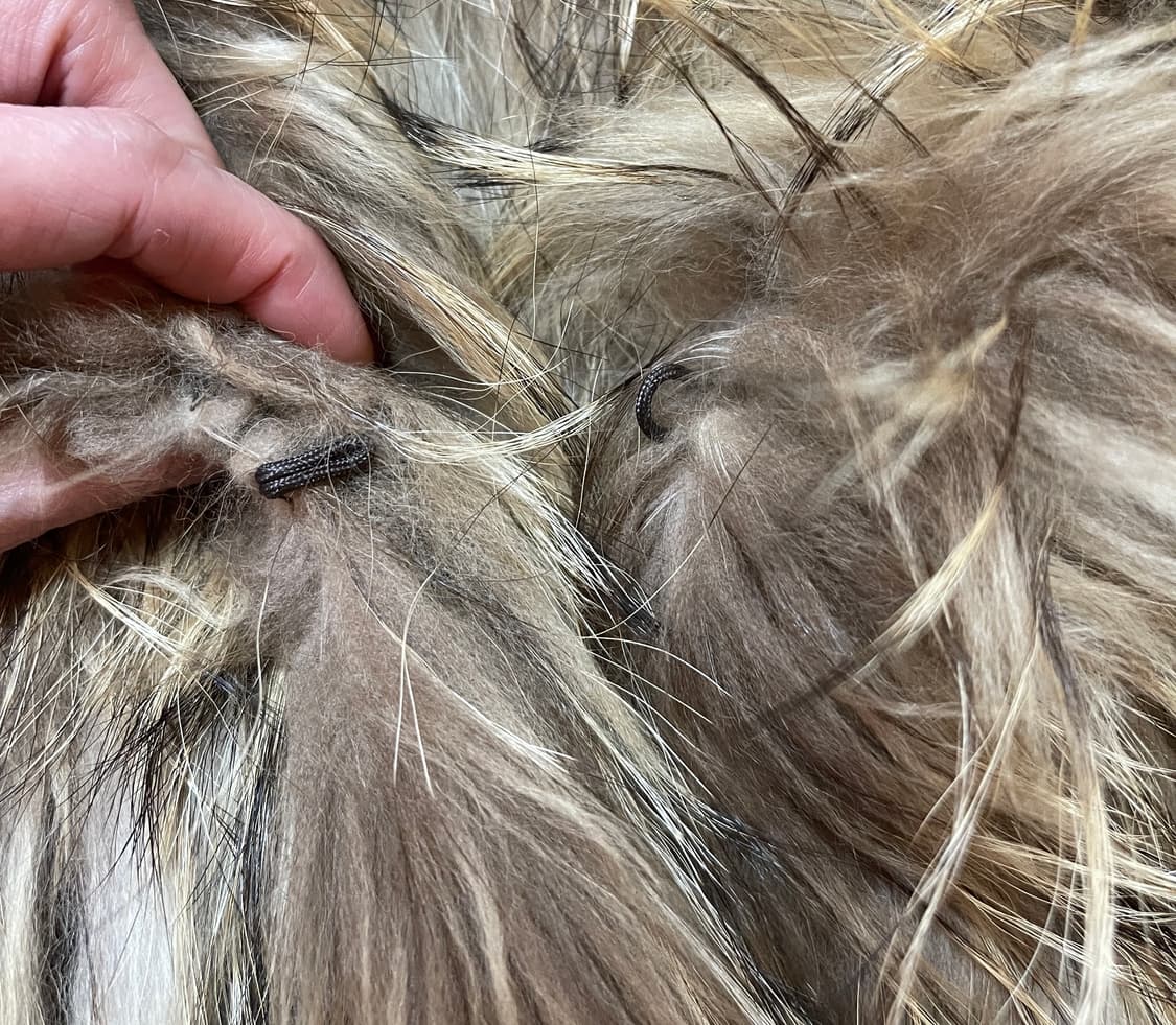 리얼 라쿤퍼 니팅 후드자켓 (S~M) 상품이미지5