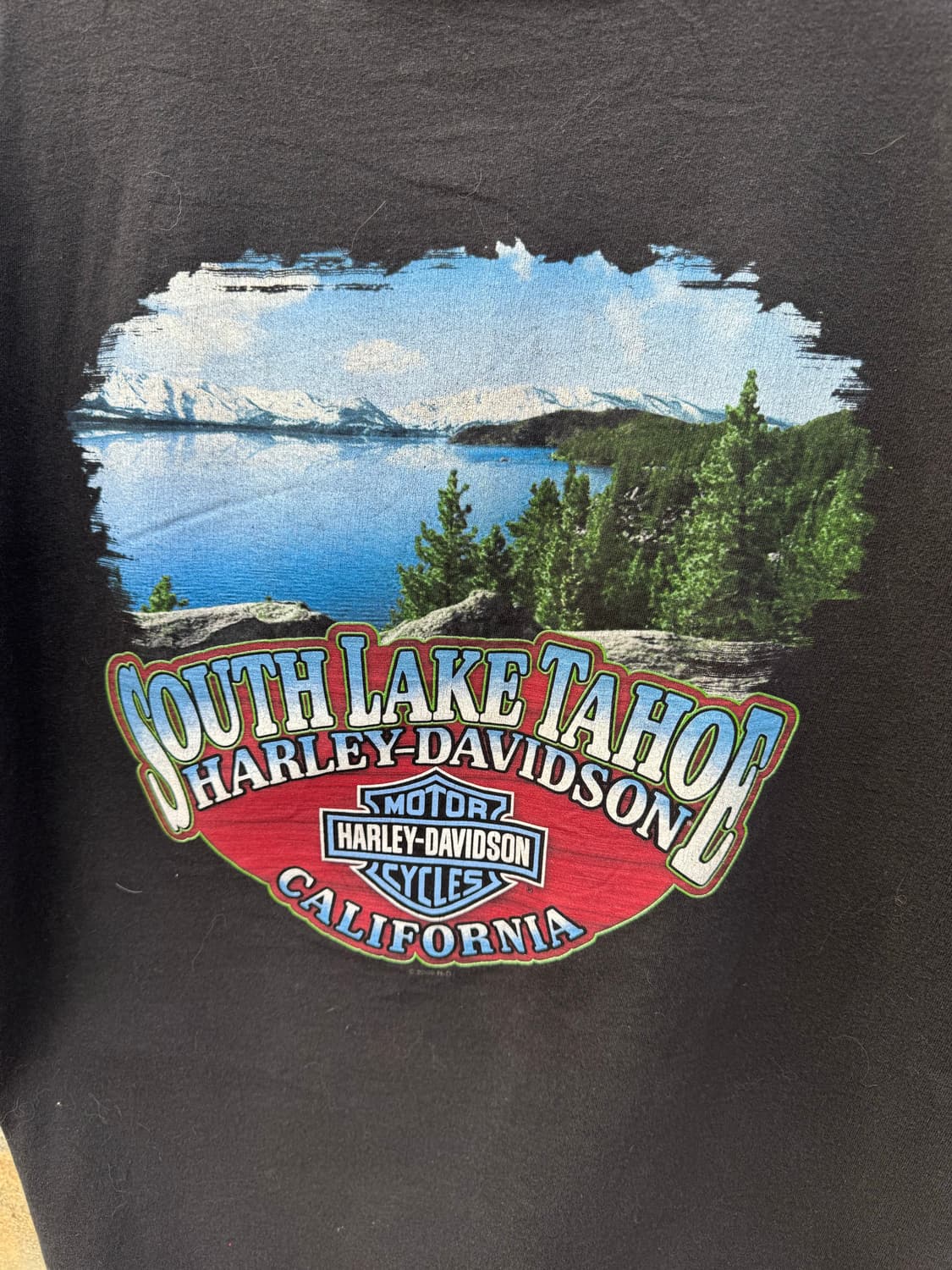 00s 할리데이비슨 빈티지 2009 로고 헤인즈 프린팅 반팔 티셔츠 상품이미지4