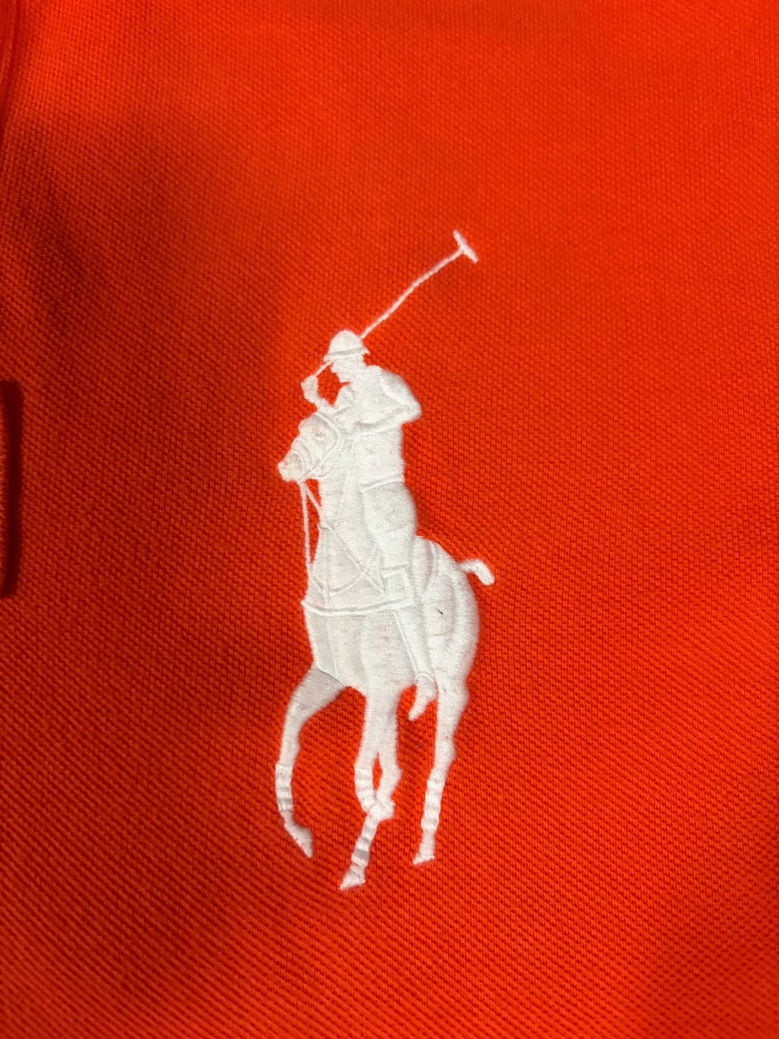 유일매물)폴로 빅포니 치프키프 네덜란드 카라티 상품이미지7