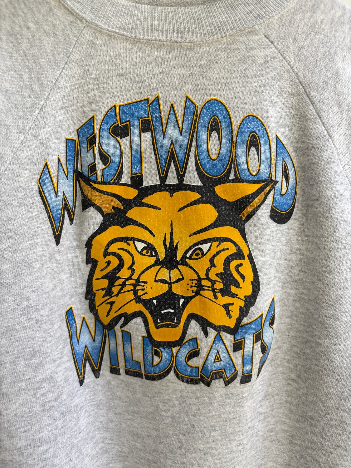 HANES 맨투맨 상품이미지5