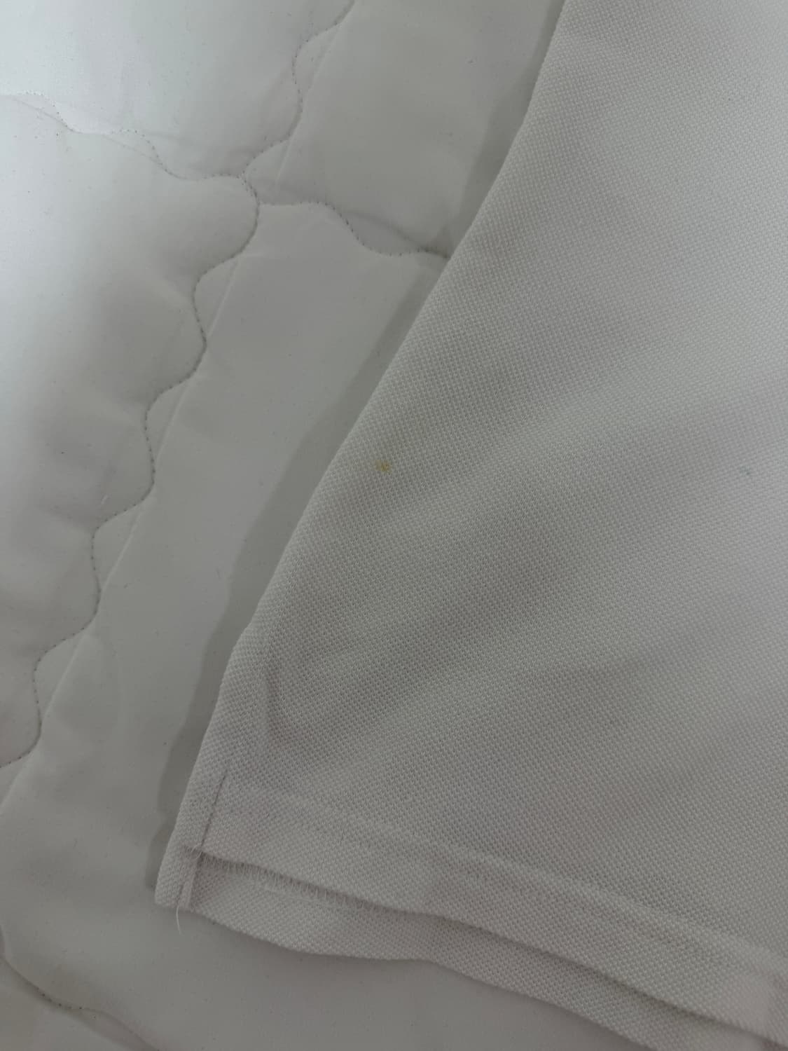 빅포니 화이트 카라티 상품이미지5