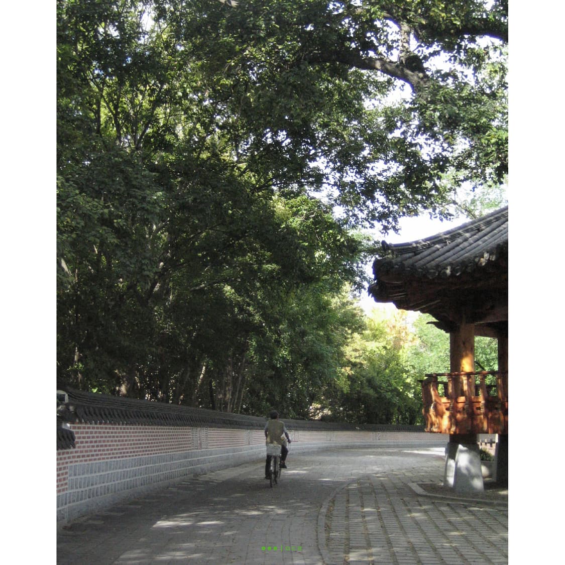 Canon IXY DIGITAL 50 상품이미지3