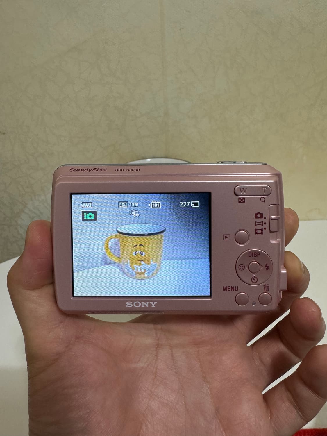 소니 DSC-S3000 디카 상품이미지2