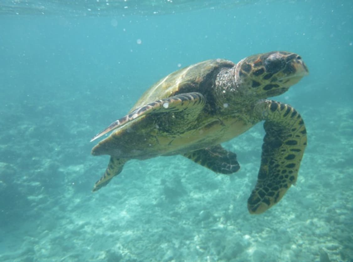 Panasonic lumix ts3 감성 콤팩트 수중 카메라 작례 O 상품이미지10