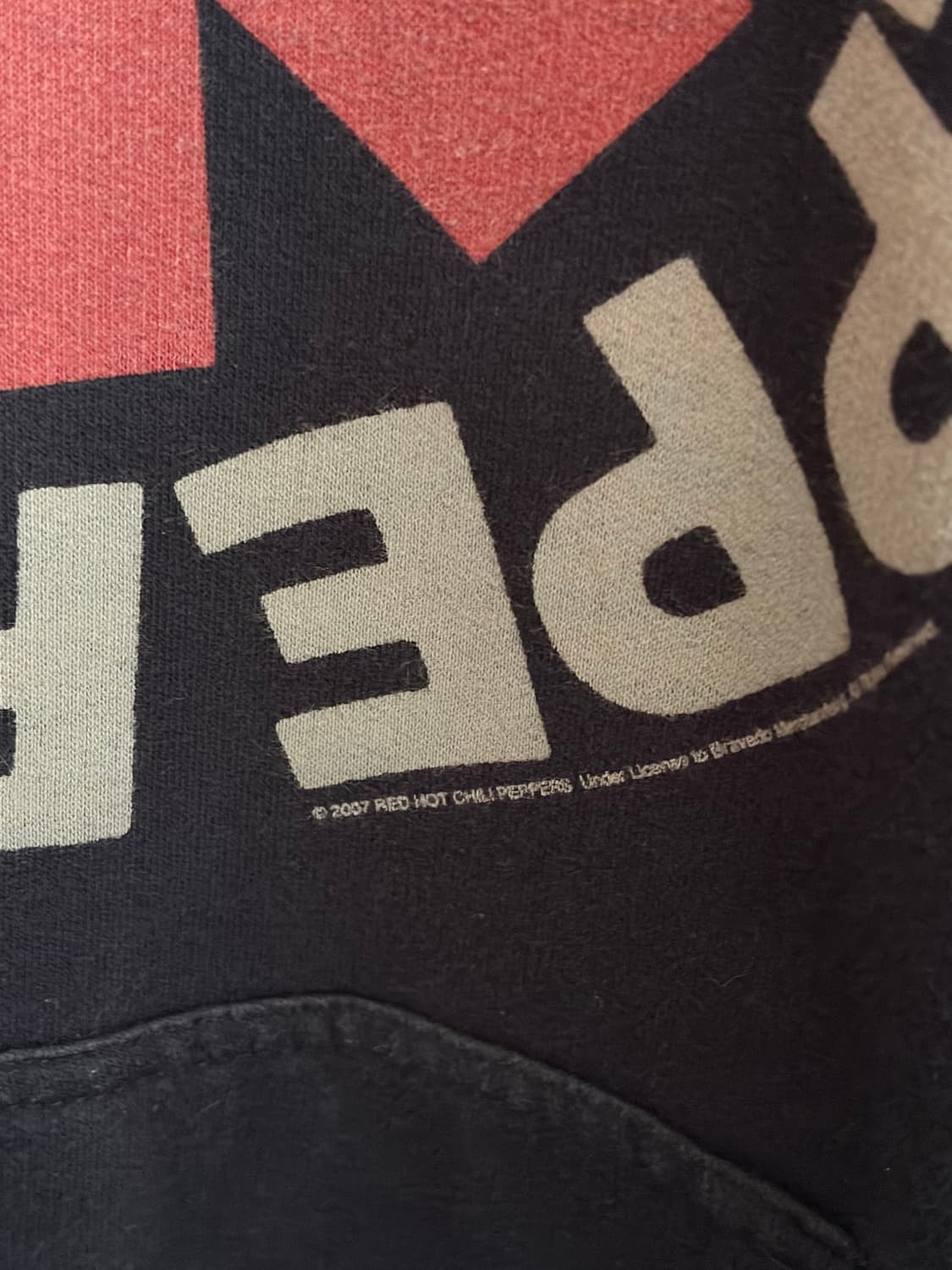 00s 레드핫칠리페퍼스 후디 상품이미지2