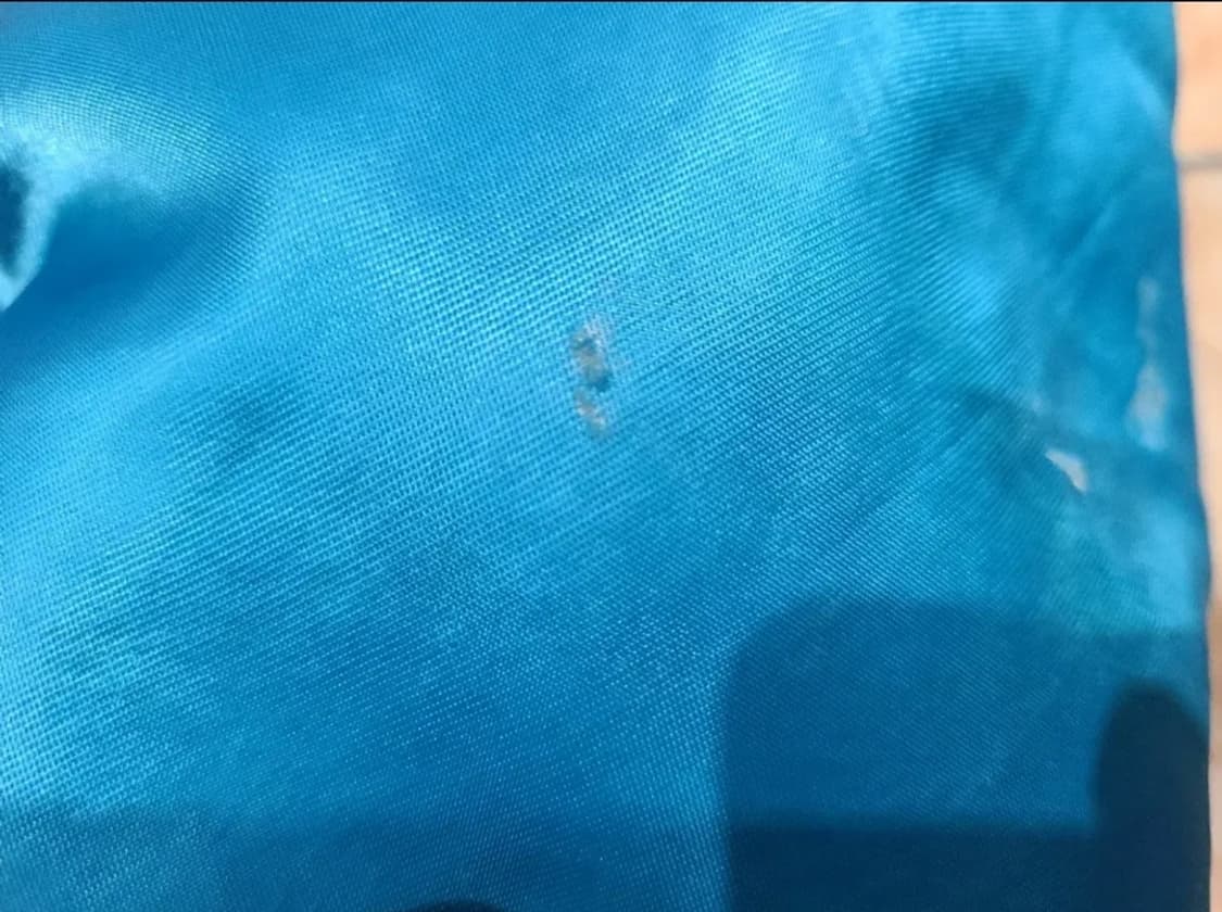 스타터 샬럿 호네츠 NBA 점퍼 상품이미지8