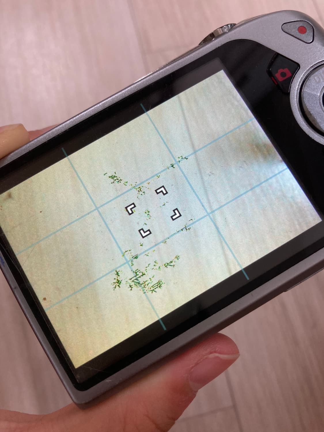 카시오 엑슬림 z2300 블루(민트) 모카 디카 상품이미지3