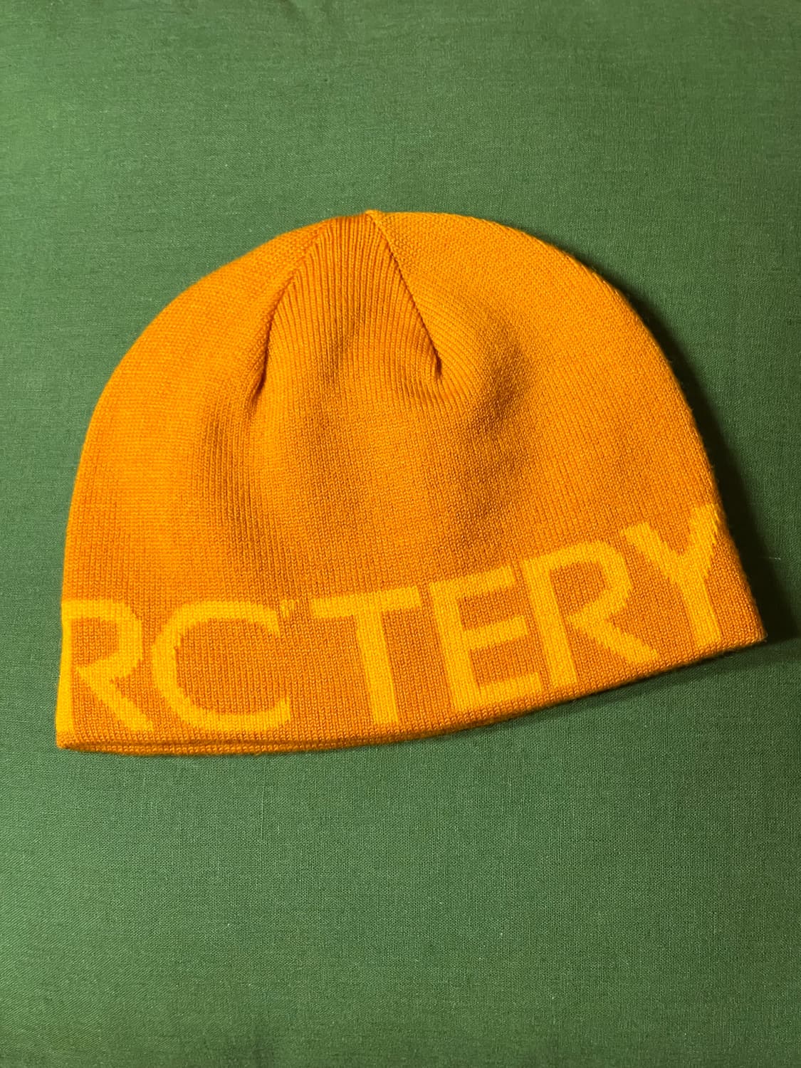 아크테릭스 비니 상품이미지1