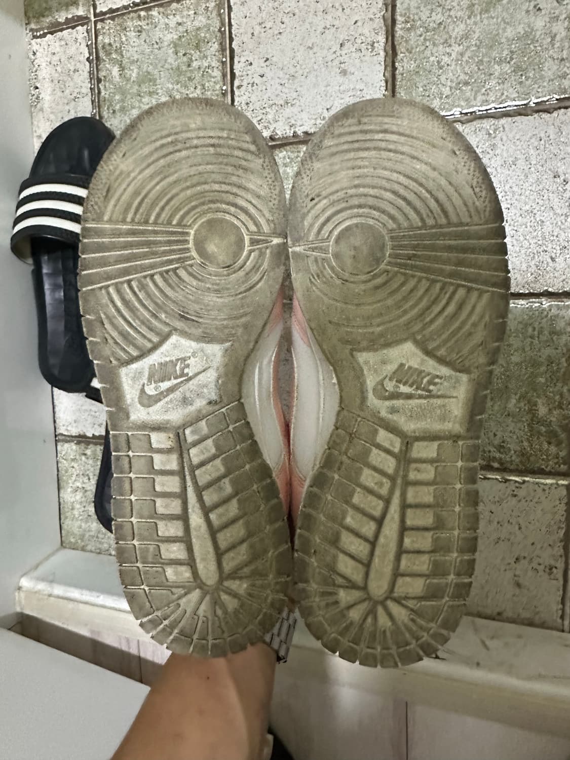 나이키 덩크 로우 핑크 260 상품이미지4