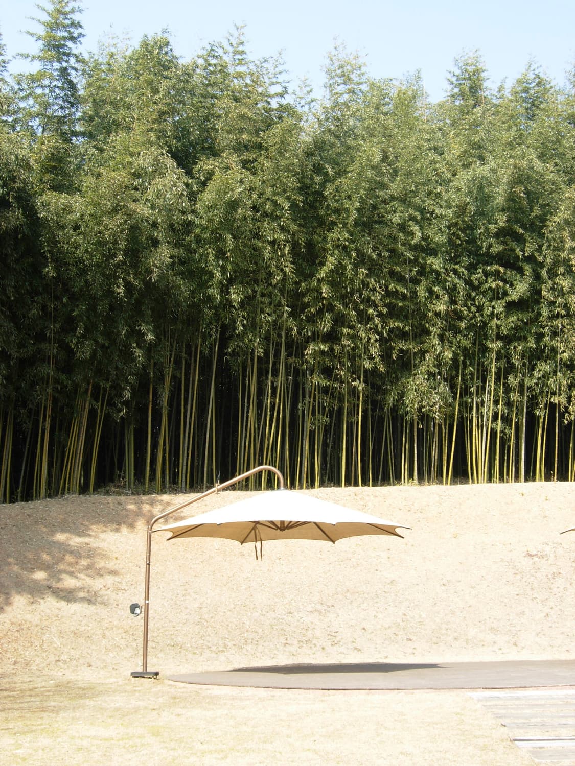 니콘 쿨픽스 P4 박스셋 (작례o) 상품이미지4