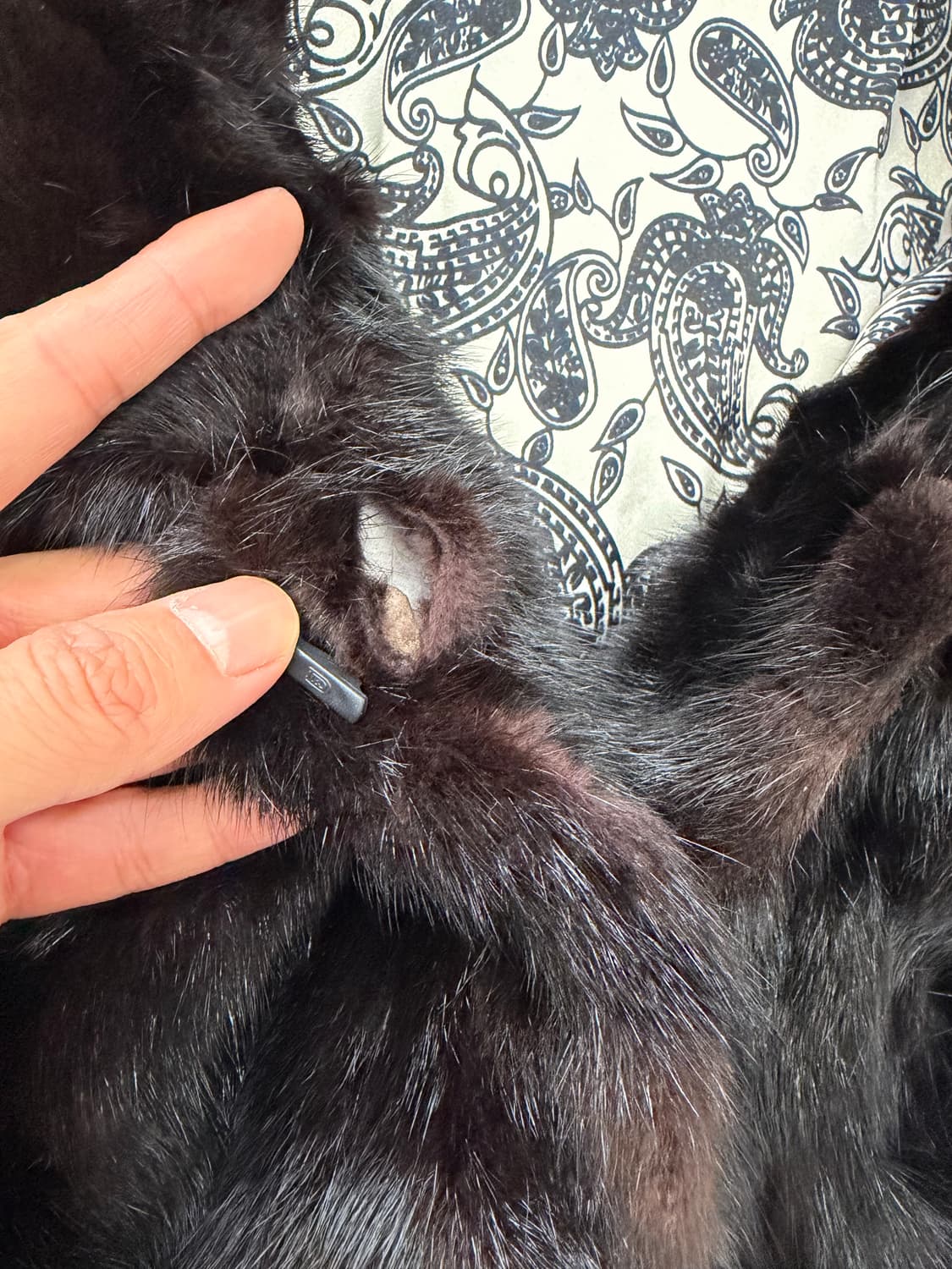 정품) 밍크 모피 베스트 조끼 77 상품이미지6