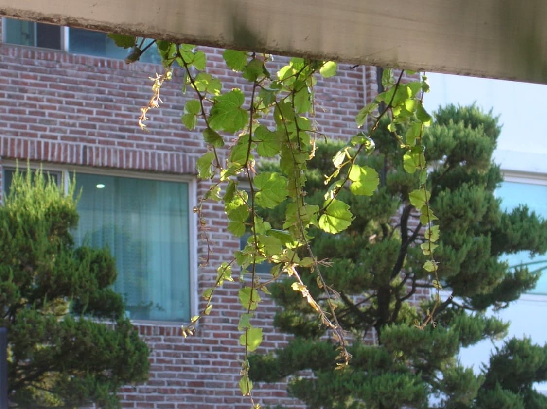 니콘 쿨픽스 4100  상품이미지6