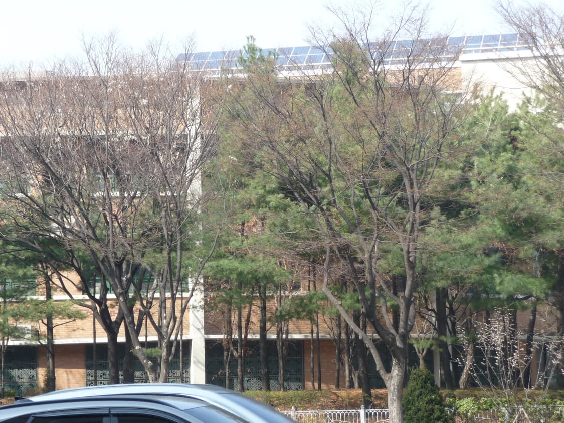 (작례/필름)Panasonic Lumix Dmc-tz5 디지털카메라 상품이미지3