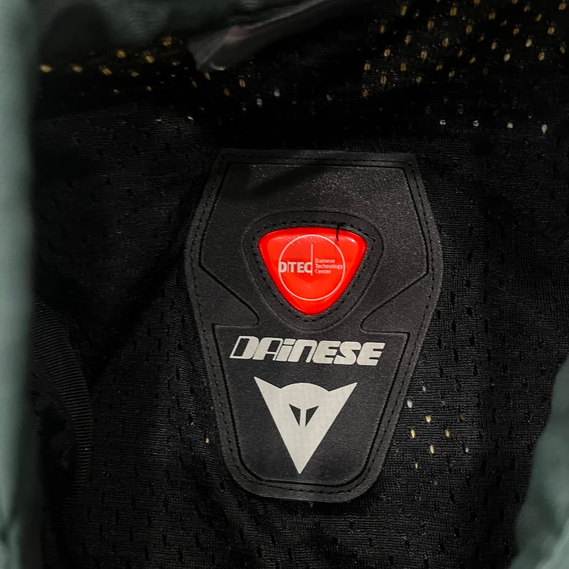 L 다이네즈 모토사이클 레이싱 자켓 상품이미지6