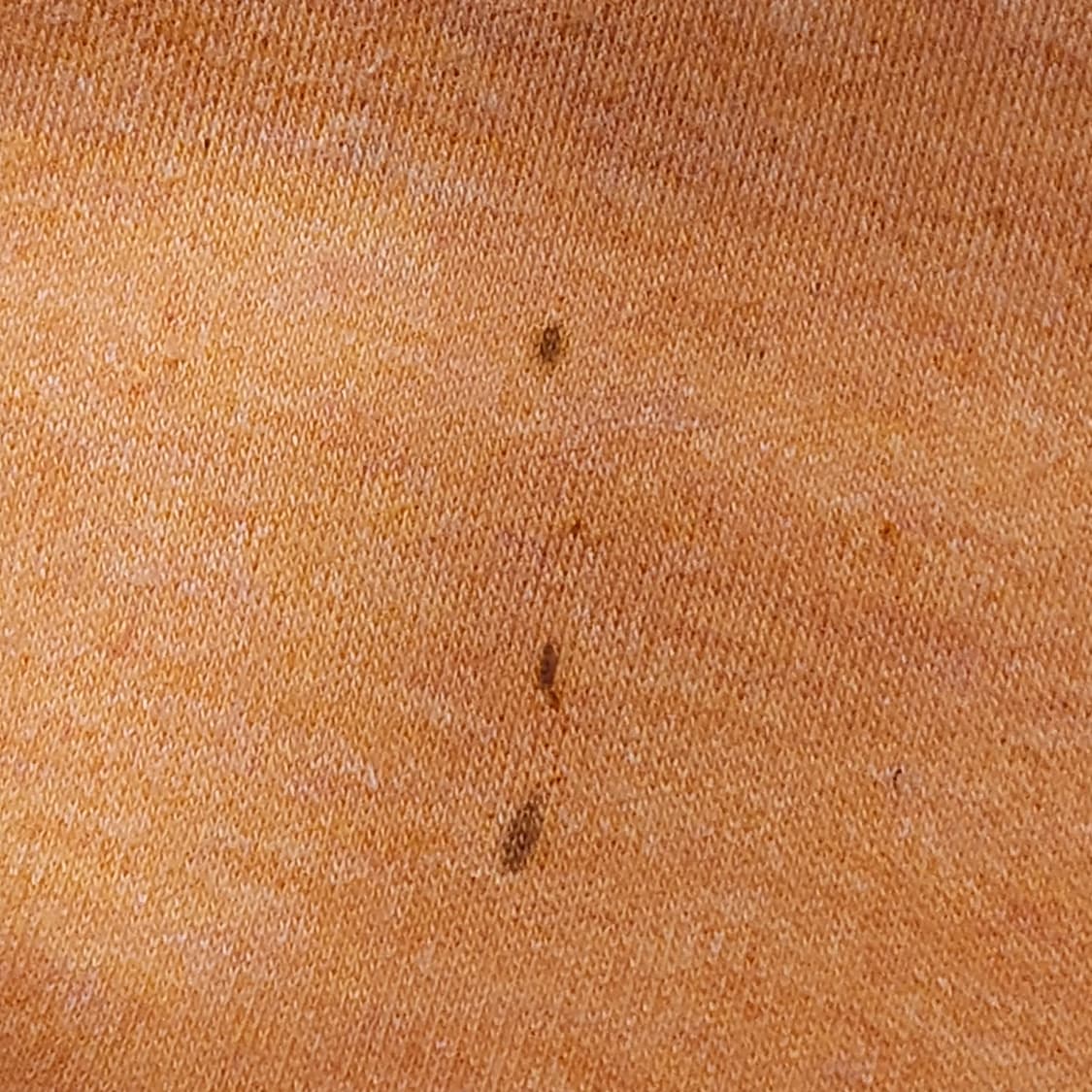 폴로 랄프로렌 피치 PK 반팔티 (M) 상품이미지6