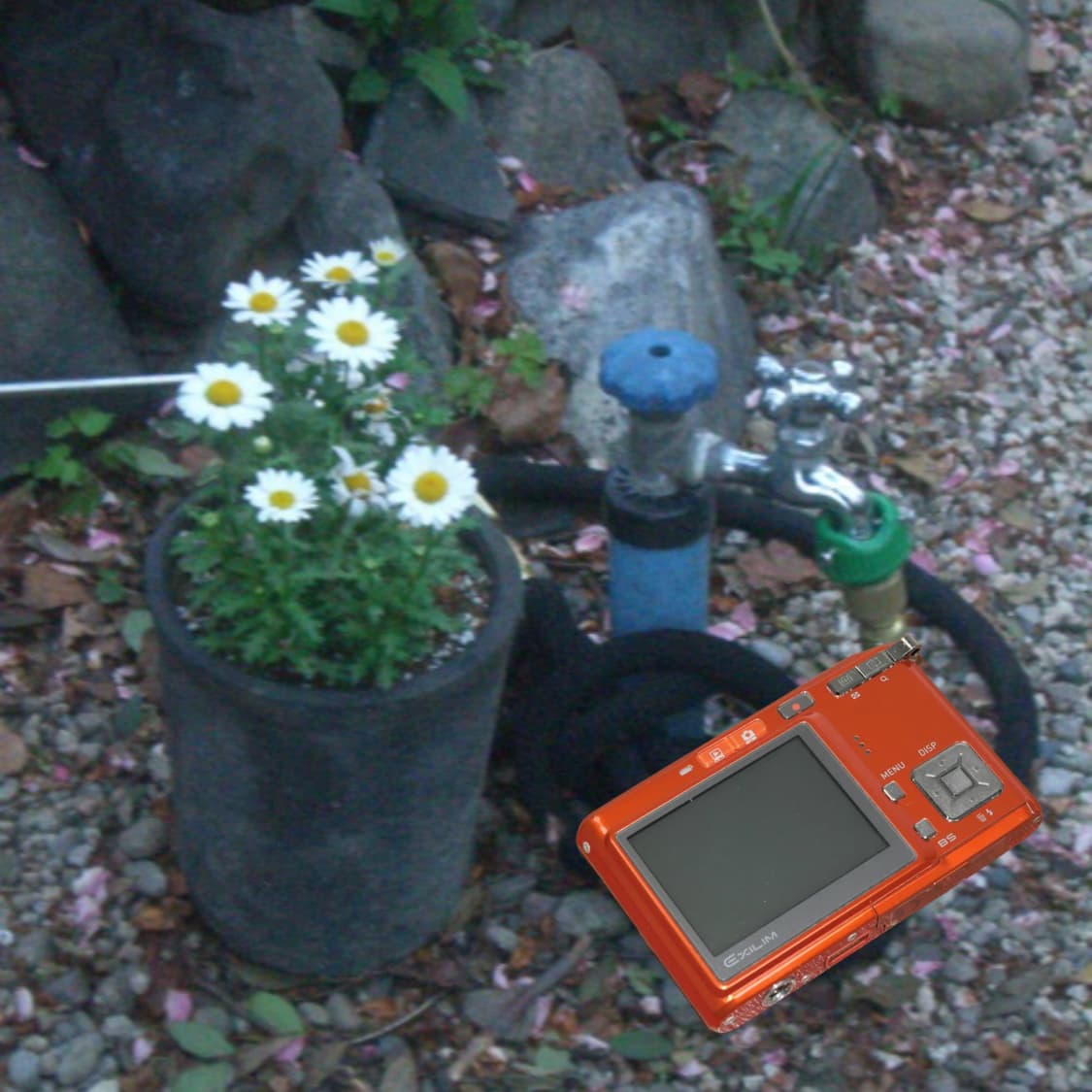 Casio EX-S500(✨A급/🎁풀패키지) 상품이미지5