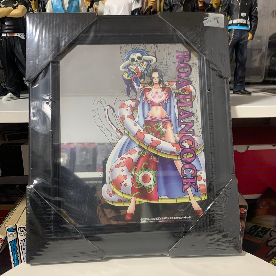 🏴‍☠️원피스 보아 핸콕 일러스트 액자 거울 상품이미지1