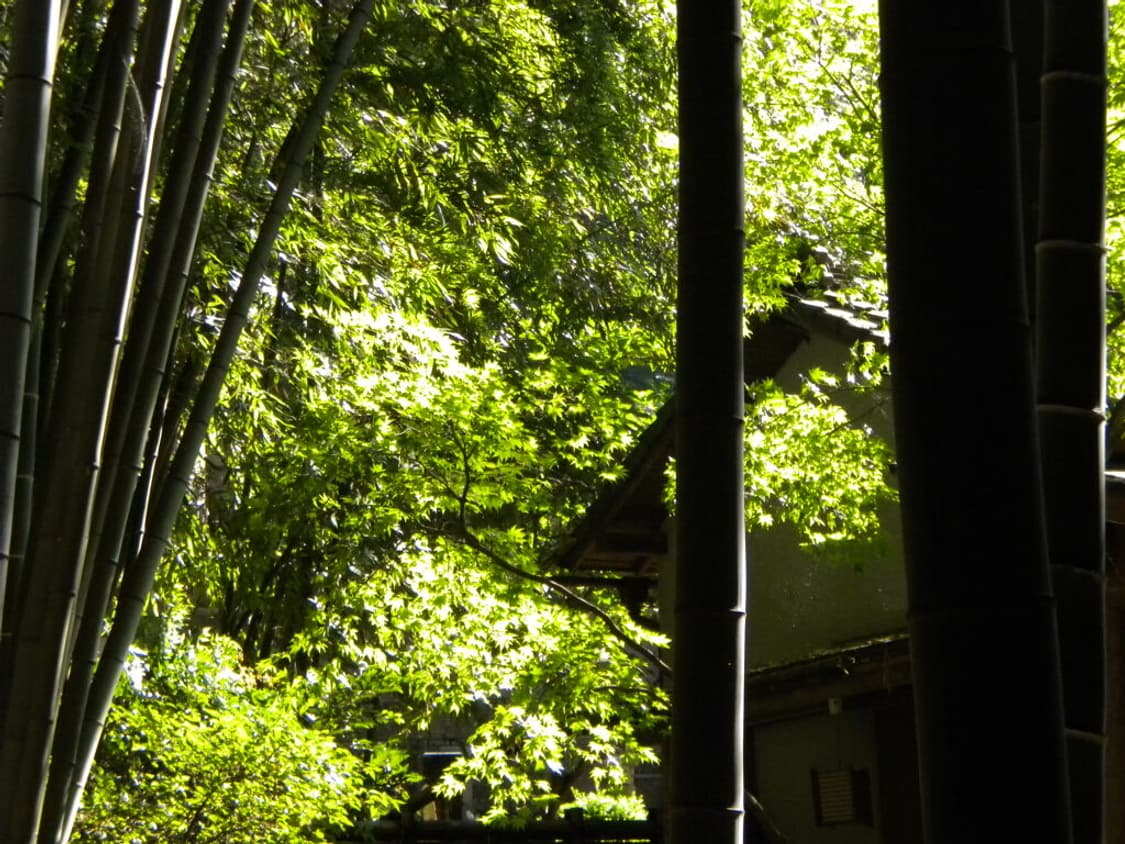 (꾸미기 기능🖌️✨) 니콘 쿨픽스 S230 디지털카메라 디카 상품이미지10