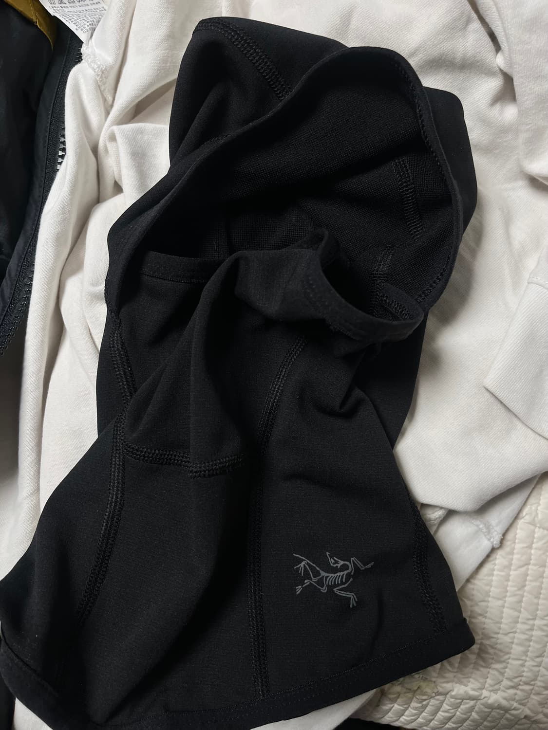 아크테릭스 페이즈AR 바라클라바 상품이미지1