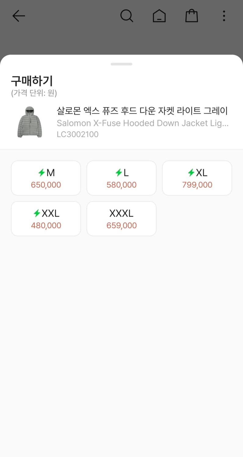 살로몬 경량패딩 [M] 상품이미지2