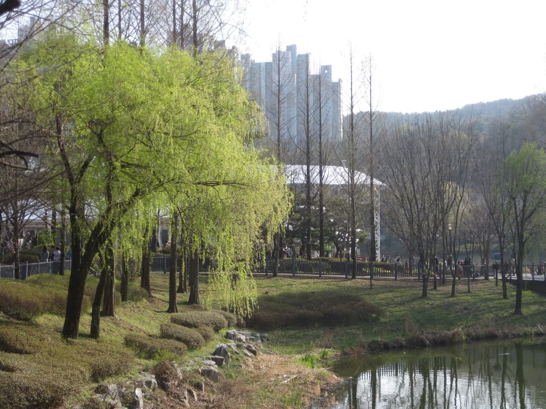 캐논 IXUS 90 IS 실버 디지털 카메라 상품이미지9