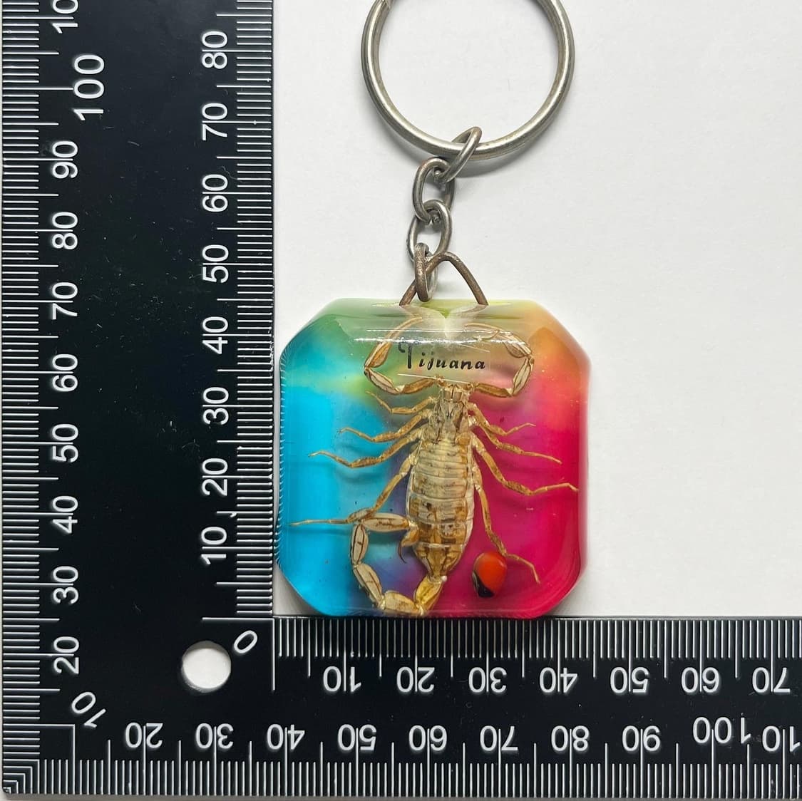 무지개 전갈 키링 🦂 상품이미지3