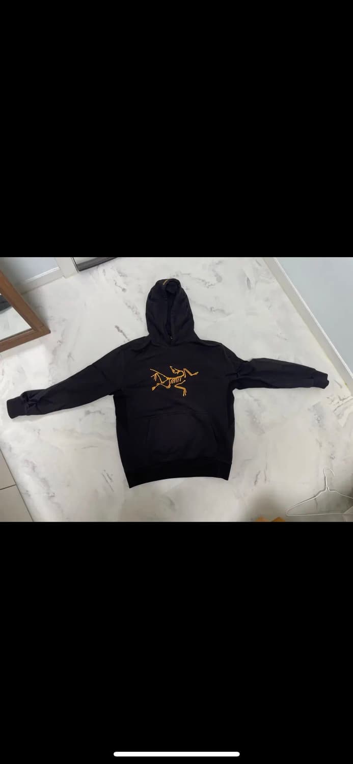 아크테릭스 팔라스 후드티 m 상품이미지1