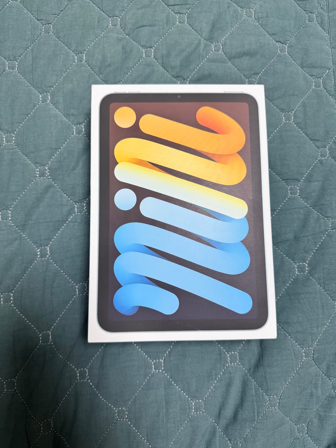 아이패드 미니 A17 Pro 128GB wifi 모델 블루색상 상품이미지1