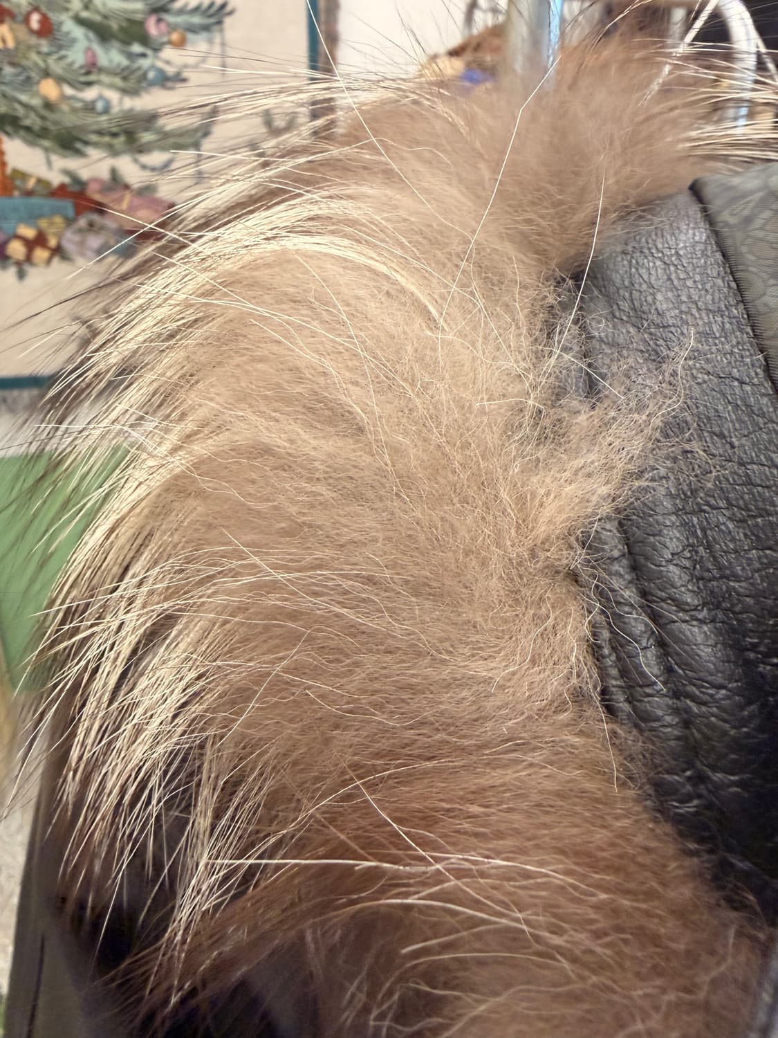 YK콜렉션 드럼다이드 사파리 가죽 자켓 상품이미지8