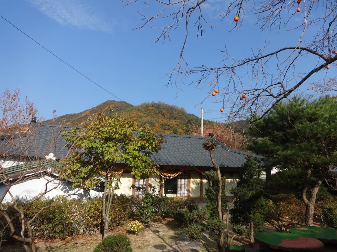소니 사이버샷 dsc wx80 디카 (빈티지 카메라) 상품이미지10