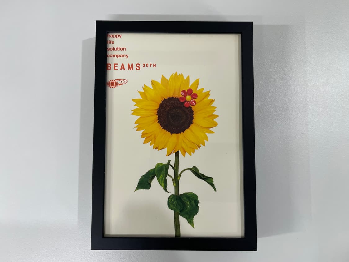 빔즈 30주년 기념 한정 아트 포토 Beams AD2006 상품이미지1