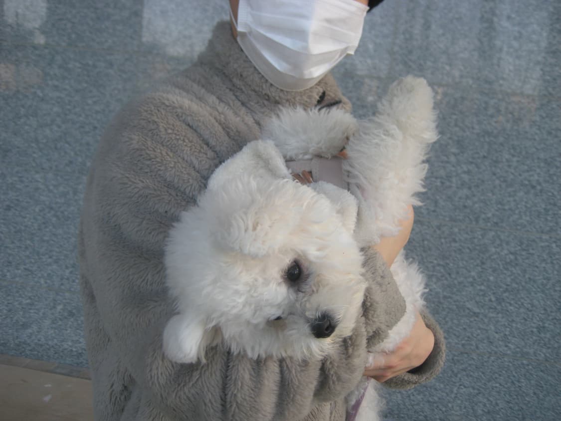 캐논 익서스 70 ixus70 ixy 10 작례  상품이미지3