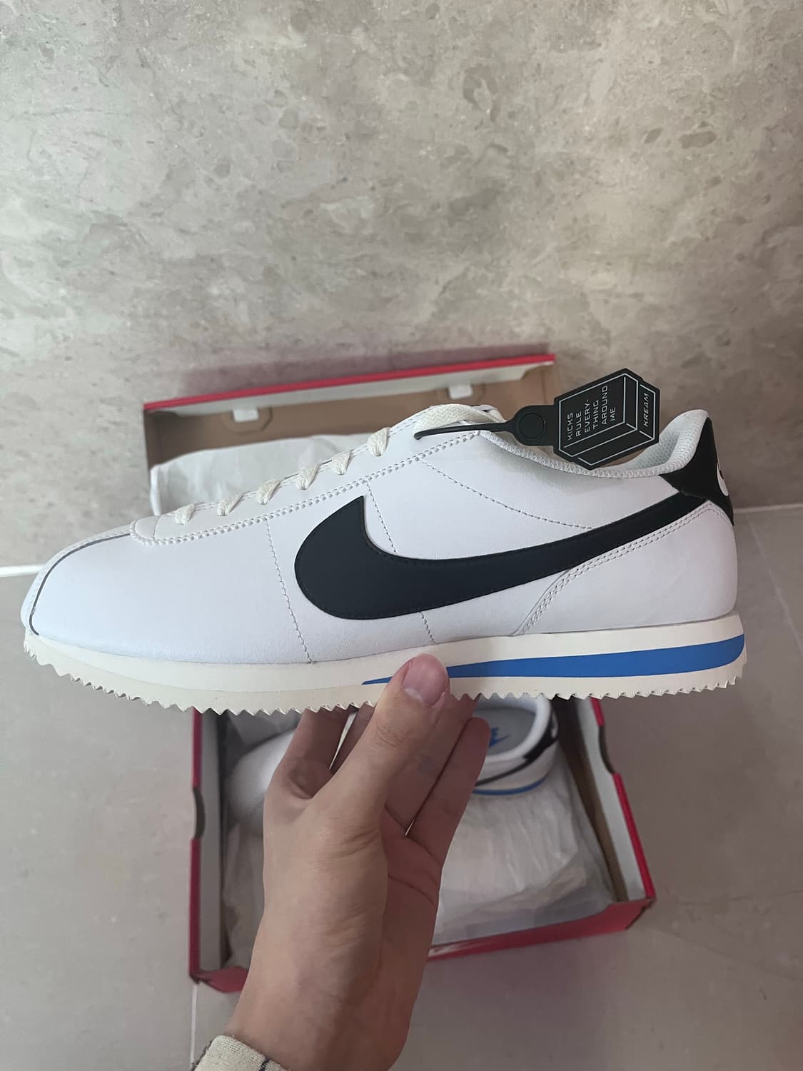 290 코르테즈 새상품 상품이미지2