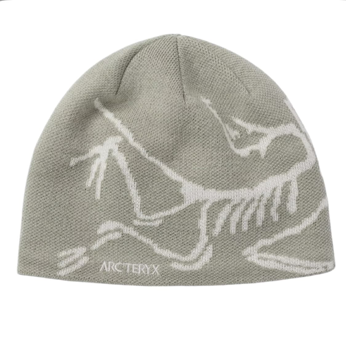 아크테릭스 버드 헤드 토크 해비타트 상품이미지1