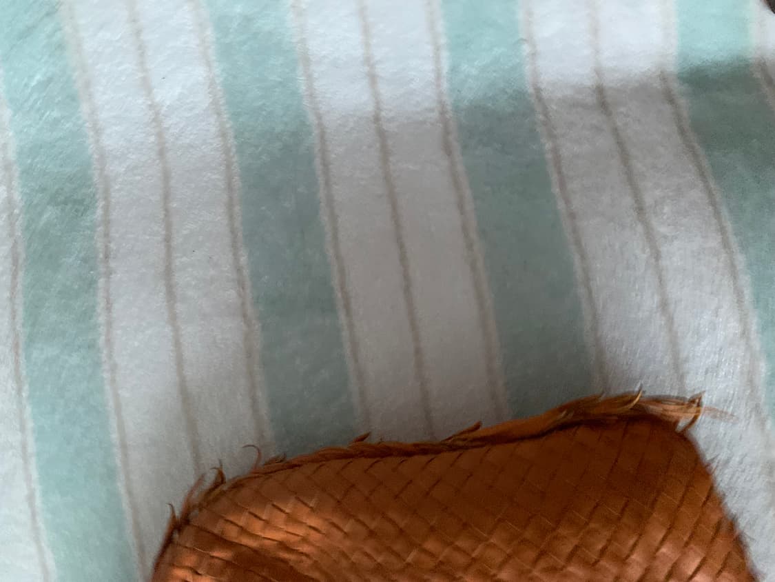 보테가베네타 호보백 정품  상품이미지5