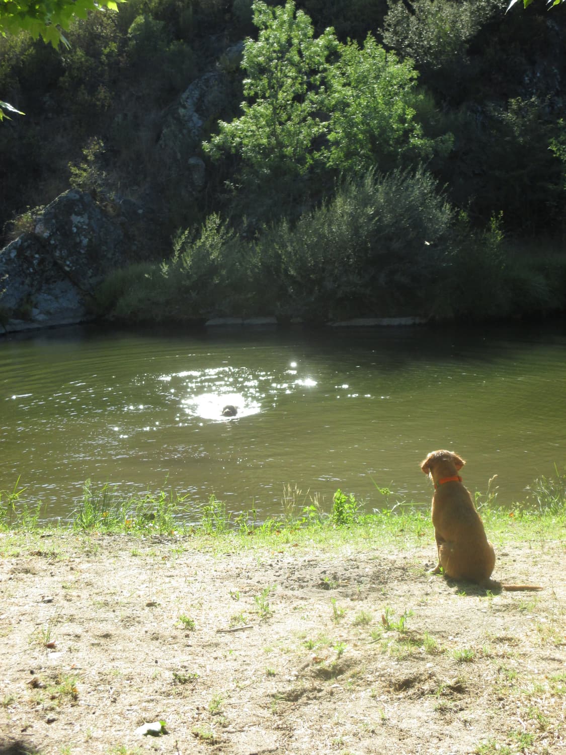 (새상품급) 캐논 ixy 130 상품이미지8