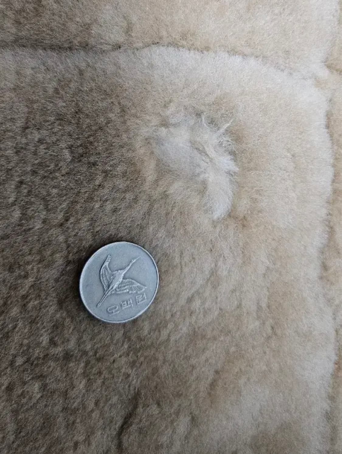 콕핏 USA R.A.F 무스탕 Z2109브라운 (44) 상품이미지9