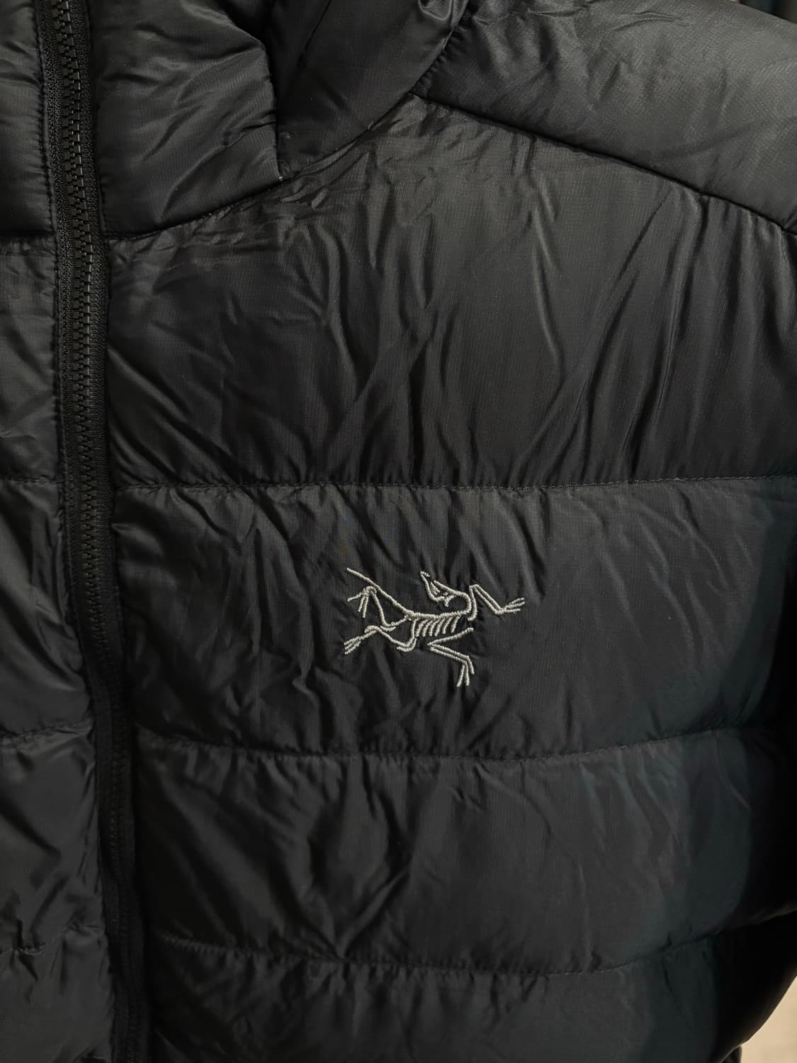 아크테릭스 세륨 후디 남성S 상품이미지2