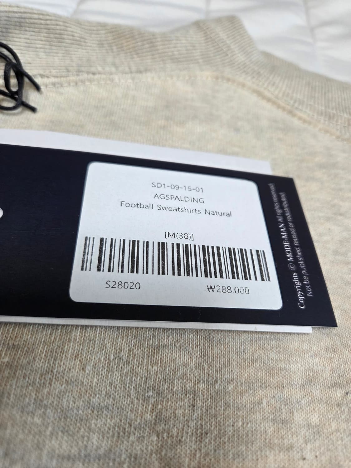 [새 것,38]A.G. Spalding & Bros  루프휠스웻셔츠 상품이미지2