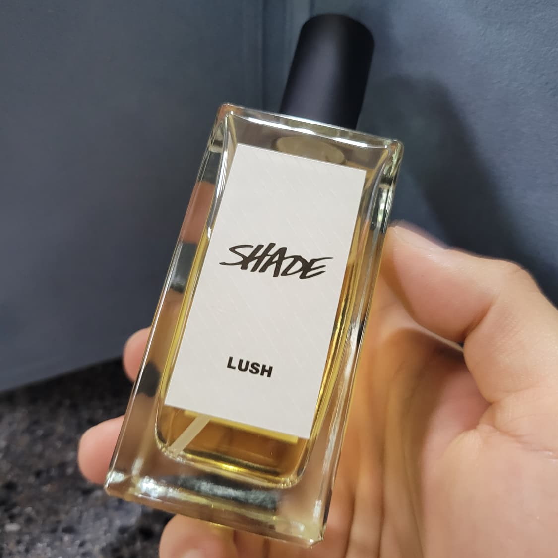 러쉬 쉐이드 퍼퓸 100ml 향수 (6) 상품이미지4