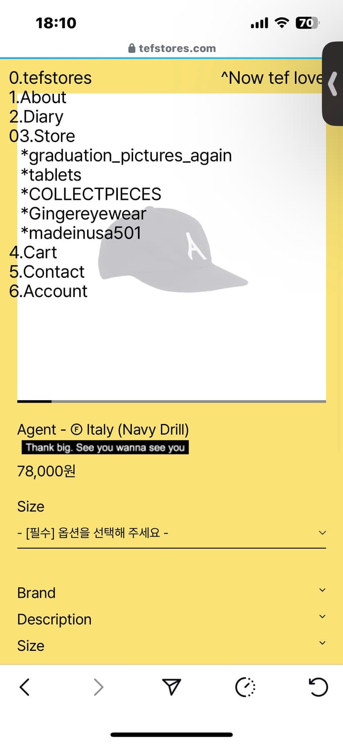 테프스토어즈 에이전트 캡 라지 상품이미지1