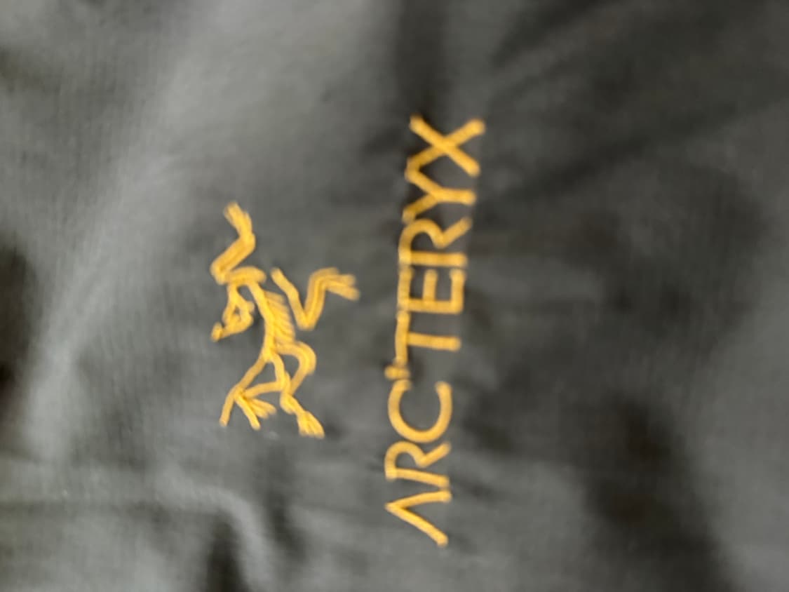 아크테릭스 아톰LT 후디 24K L 상품이미지2