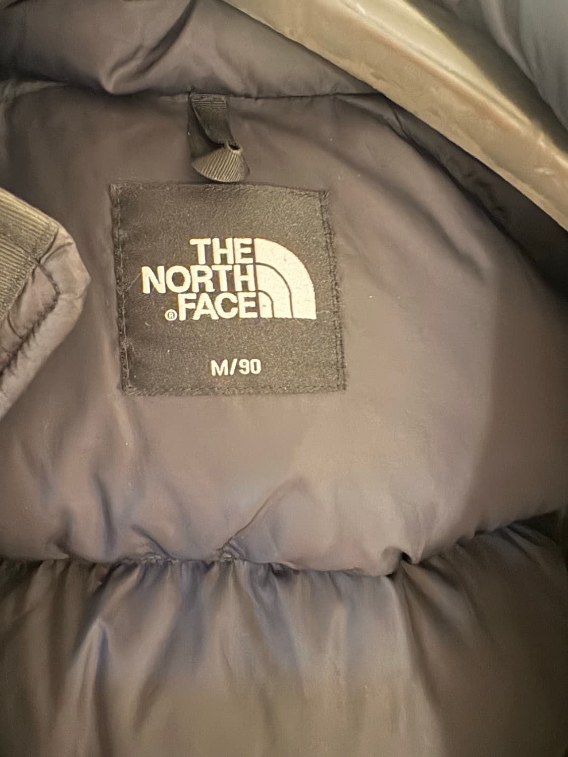 노스페이스 1996 에코 눕시 M (90) 상품이미지3